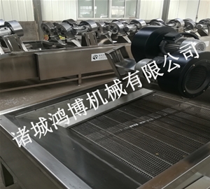 河北清洗风干流水线