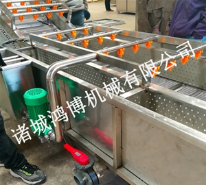 河北菌类清洗机
