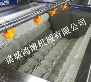 河北姜清洗去皮机