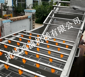 河北人参清洗机