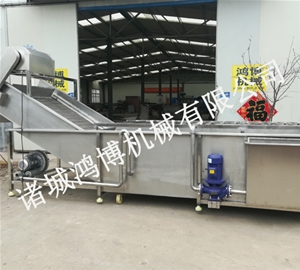 河北大型商用蔬菜清洗机