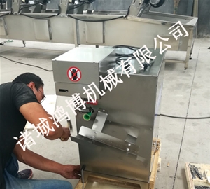 河北瓜果快速去皮机